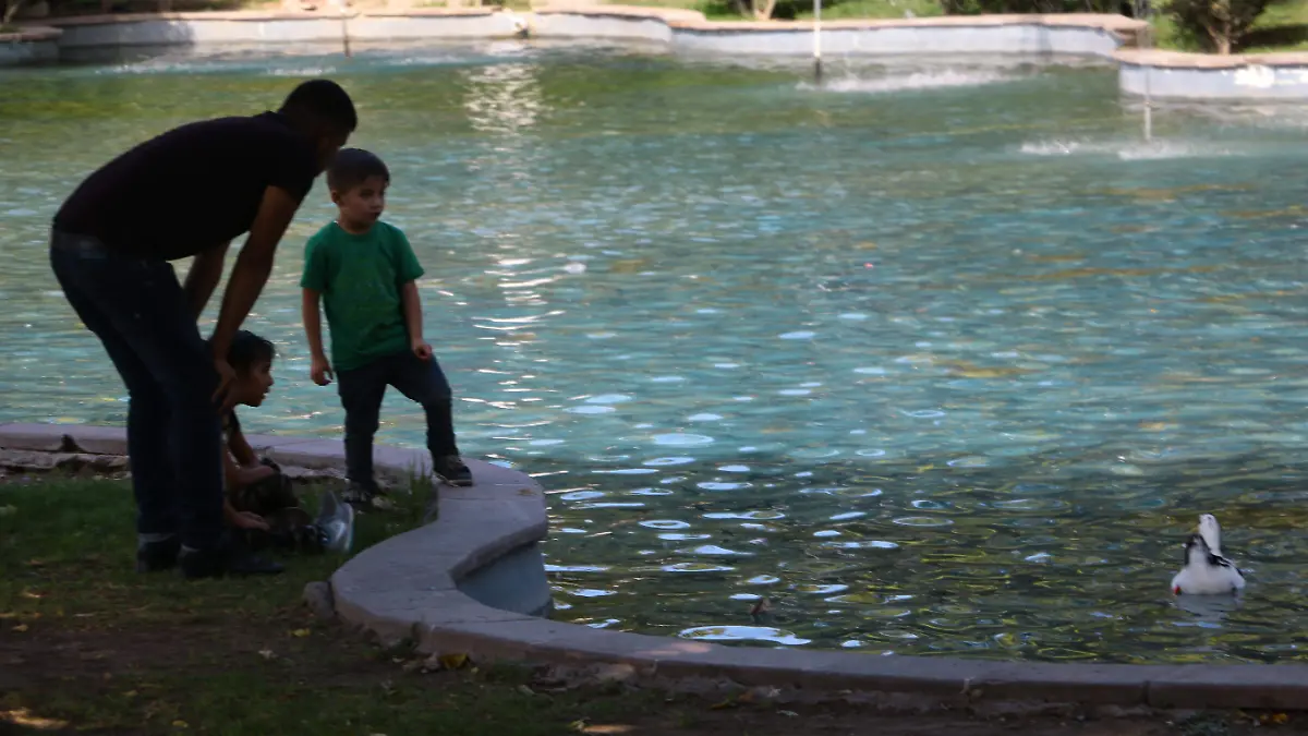 TRADICION FAMILIAR, EL LAGO DE LOS PATOS EN LA ALAMEDA